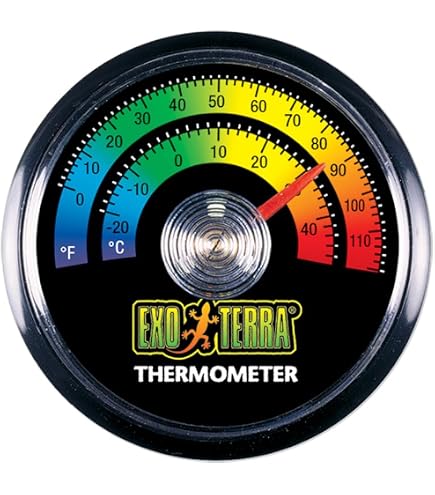 Amazon.com : Exo Terra Exo Terra Analog Hygrometer : Pet Supplies
